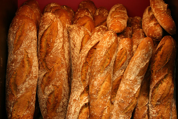 brood