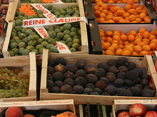 fruit