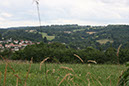 stleovergezicht