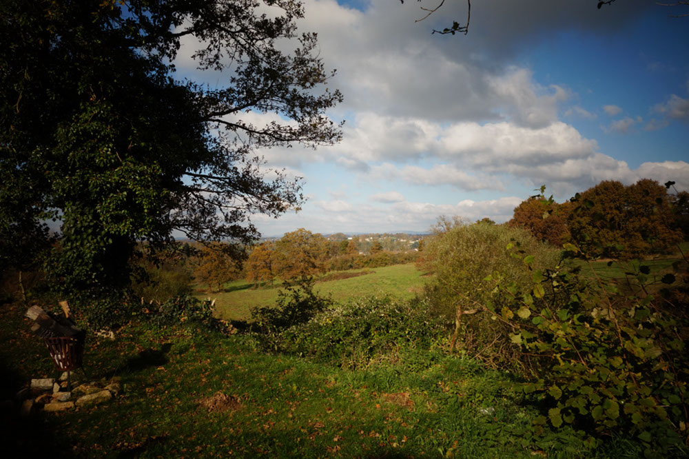 DSC04104